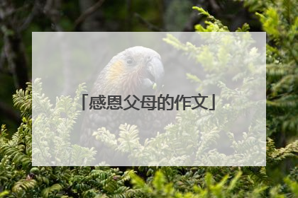 感恩父母的作文