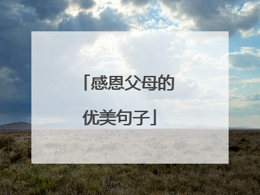 感恩父母的优美句子