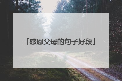 感恩父母的句子好段
