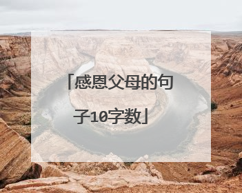 感恩父母的句子10字数