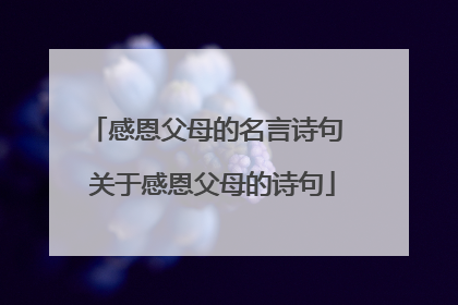 感恩父母的名言诗句 关于感恩父母的诗句