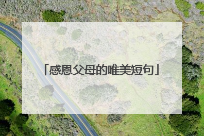 感恩父母的唯美短句