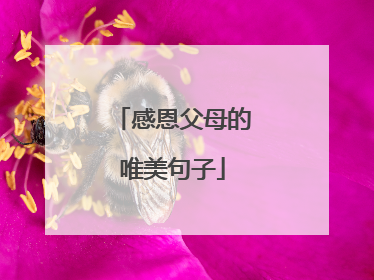 感恩父母的唯美句子