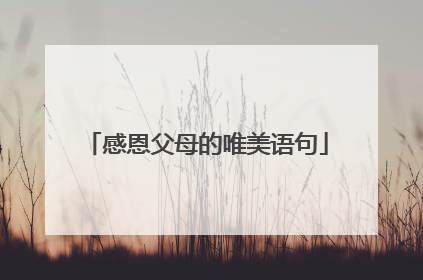 感恩父母的唯美语句