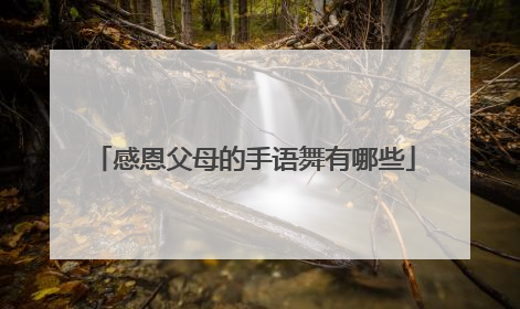 感恩父母的手语舞有哪些