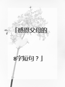 感恩父母的8字短句？