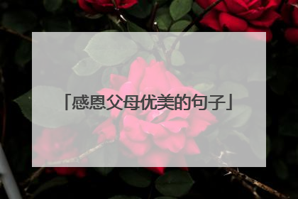 感恩父母优美的句子