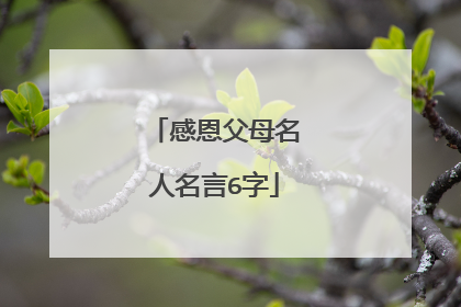 感恩父母名人名言6字