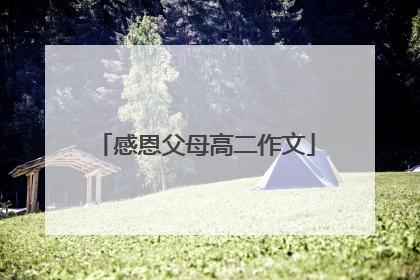 感恩父母高二作文