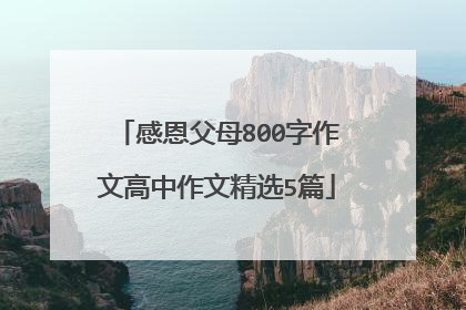 感恩父母800字作文高中作文精选5篇