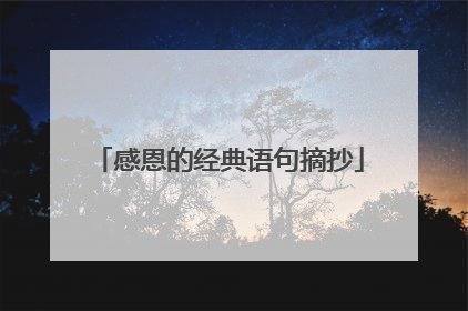 感恩的经典语句摘抄