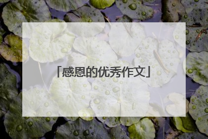 感恩的优秀作文