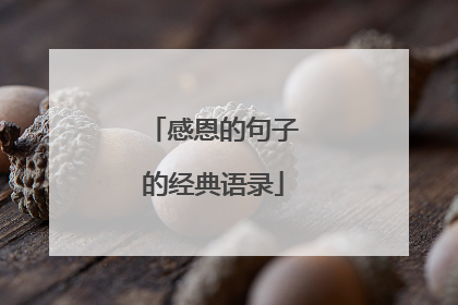 感恩的句子的经典语录