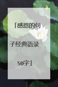 感恩的句子经典语录50字