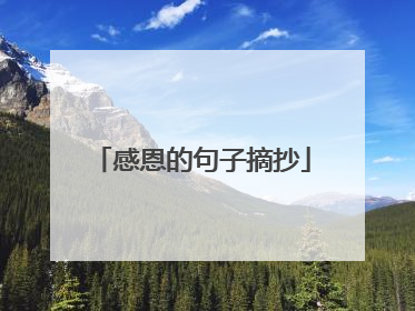 感恩的句子摘抄