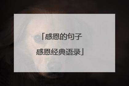 感恩的句子 感恩经典语录