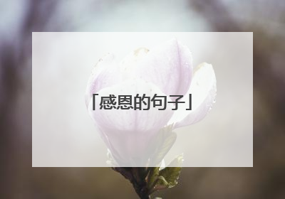 感恩的句子