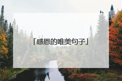 感恩的唯美句子