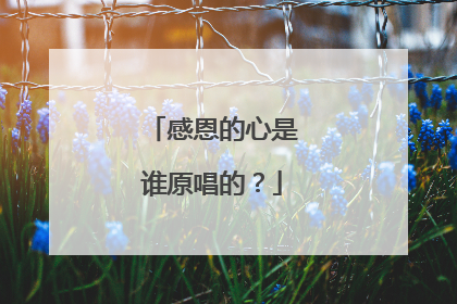 感恩的心是谁原唱的？