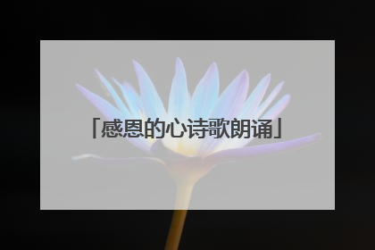 感恩的心诗歌朗诵