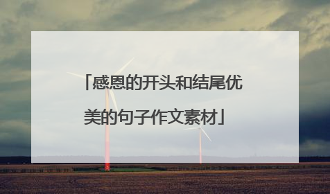 感恩的开头和结尾优美的句子作文素材