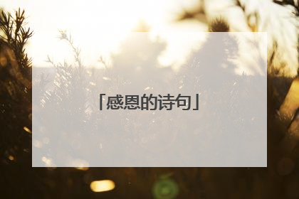 感恩的诗句