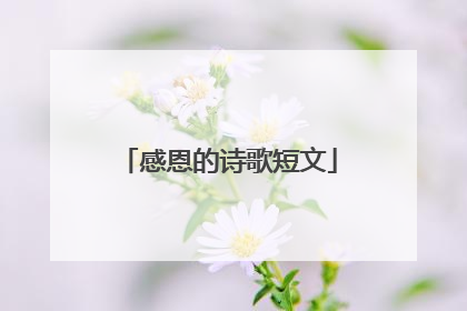 感恩的诗歌短文