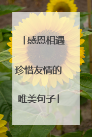感恩相遇珍惜友情的唯美句子