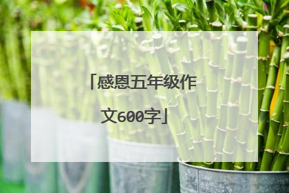 感恩五年级作文600字