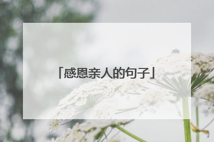 感恩亲人的句子