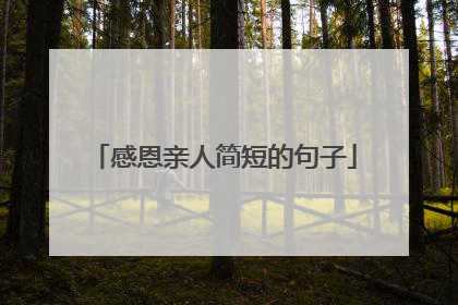 感恩亲人简短的句子