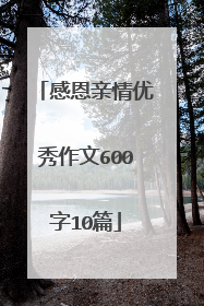感恩亲情优秀作文600字10篇