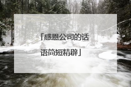 感恩公司的话语简短精辟