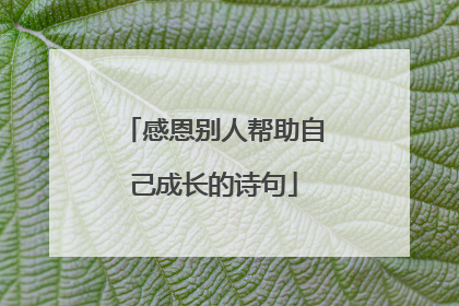 感恩别人帮助自己成长的诗句