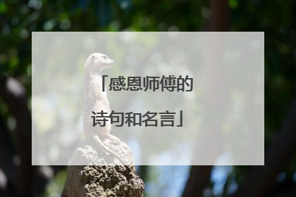 感恩师傅的诗句和名言