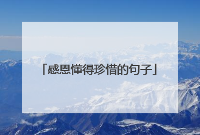 感恩懂得珍惜的句子