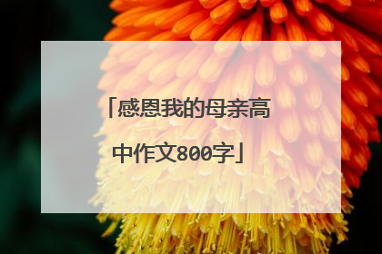 感恩我的母亲高中作文800字