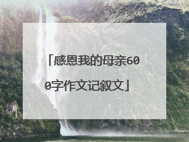 感恩我的母亲600字作文记叙文
