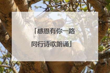 感恩有你一路同行诗歌朗诵