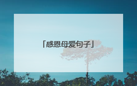 感恩母爱句子
