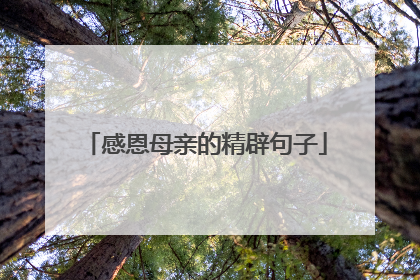 感恩母亲的精辟句子