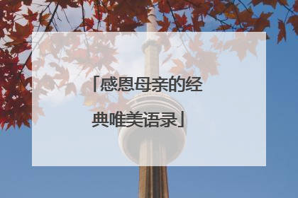 感恩母亲的经典唯美语录