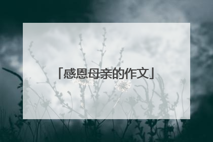 感恩母亲的作文