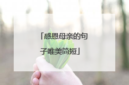 感恩母亲的句子唯美简短