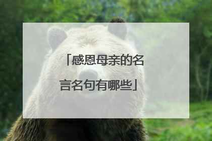 感恩母亲的名言名句有哪些