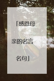 感恩母亲的名言名句