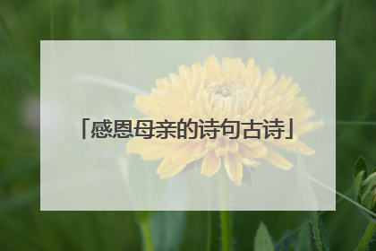 感恩母亲的诗句古诗