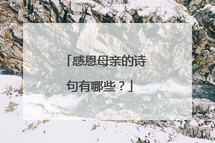 感恩母亲的诗句有哪些？