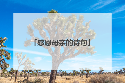感恩母亲的诗句