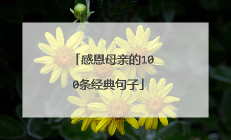 感恩母亲的100条经典句子